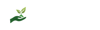 TÜREL FİDE
